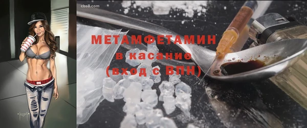 сатива Надым