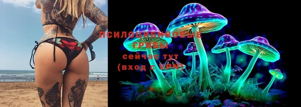 сатива Надым