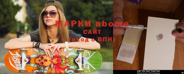 сатива Надым