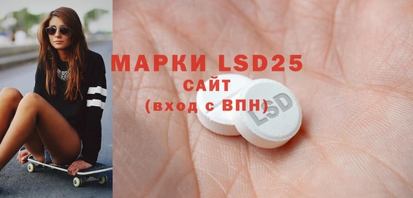 сатива Надым