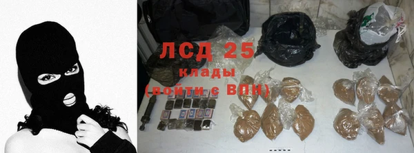 сатива Надым