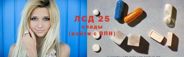 сатива Надым