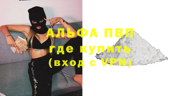 сатива Надым