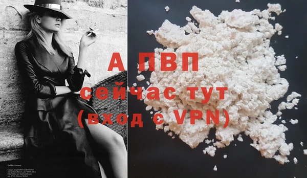 сатива Надым