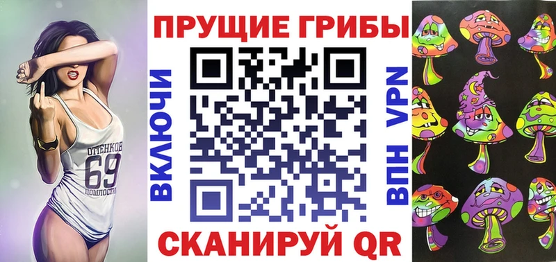купить наркоту  Зуевка  Псилоцибиновые грибы Cubensis 